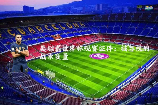 美加墨世界杯观赛证件：被忽视的战术变量